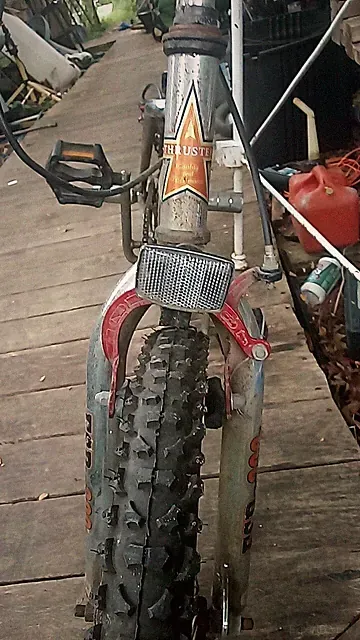 20 in gt freestyle bmx bike