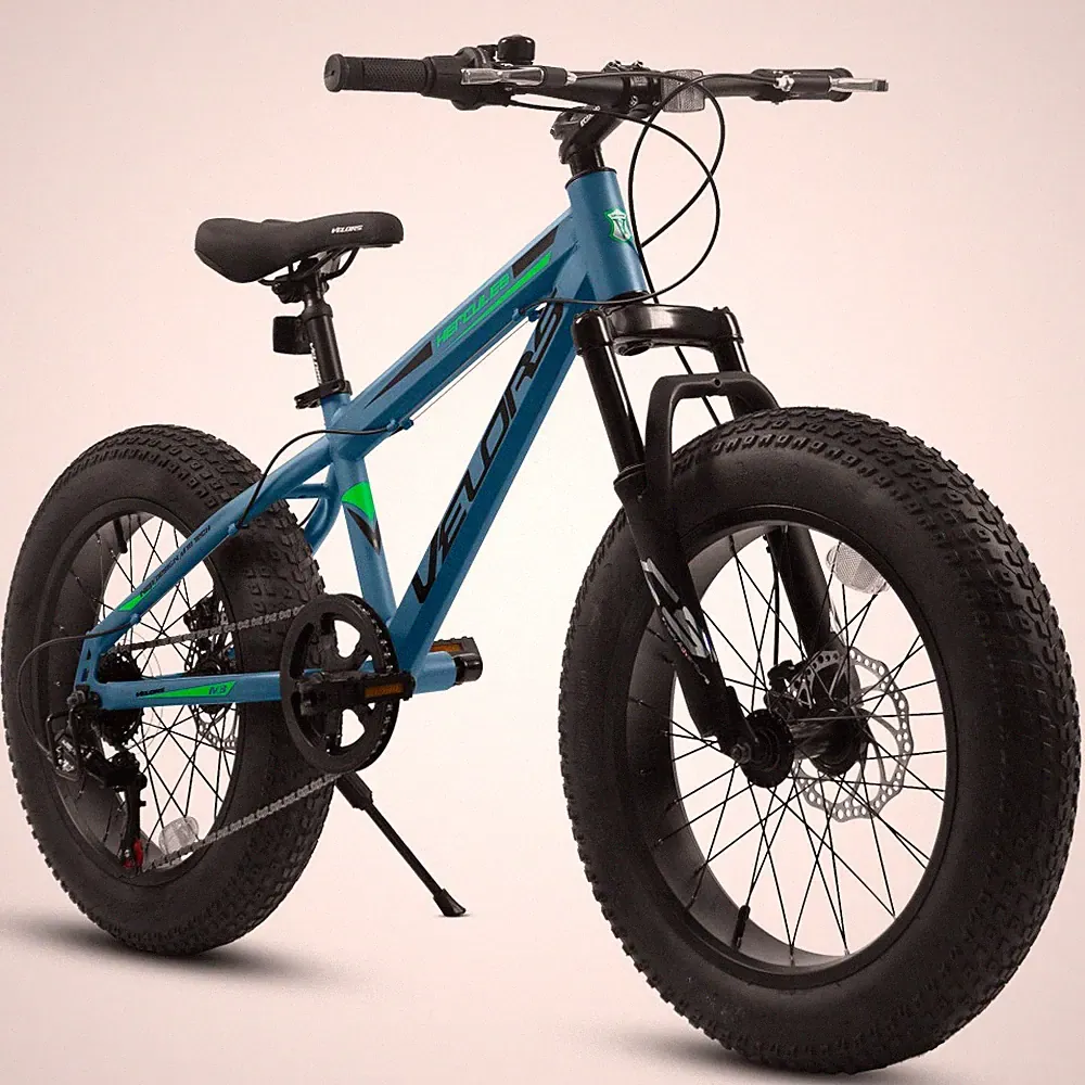 20 Inch Fat Tire Bike City Commuter Adult 7 Speed Mountain Bike Dual Disc Brake