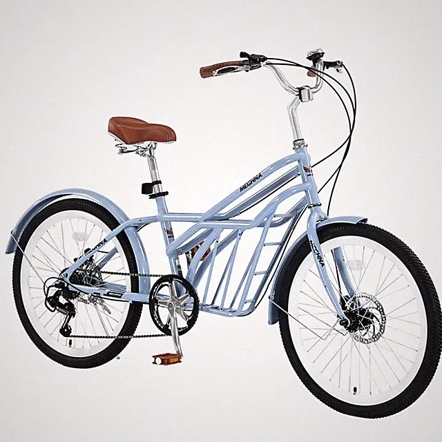 24 Inch Bike Commuter Bike Steel Frame Double Disc Brakes for Adults 300lbs