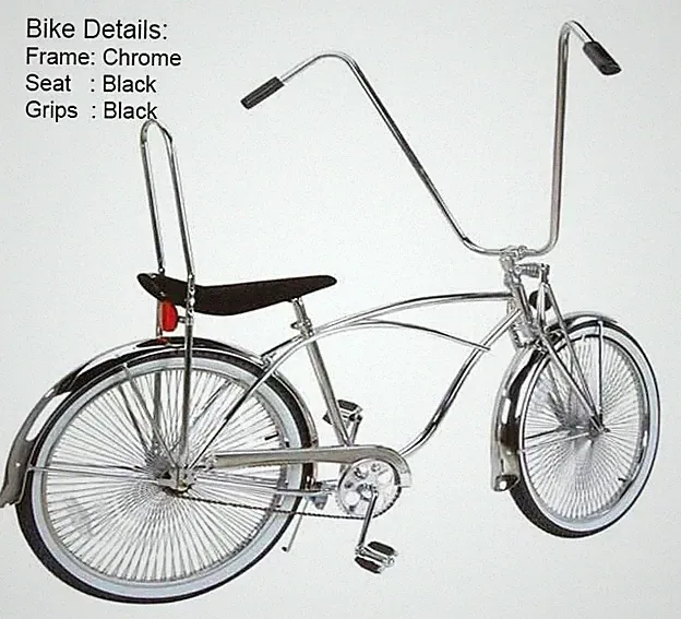 WEIZE Beach Cruiser