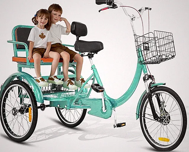 Adult Tricycle, 20 Inch 3-Wheel Bikes, Trike for Adults with Seat, Low Step