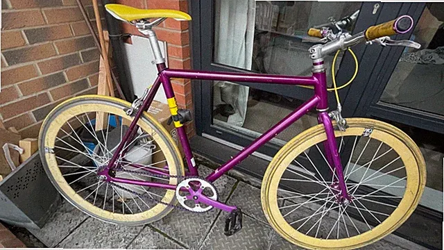Bicycle single speed