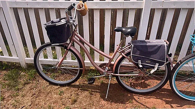 bikes for adults