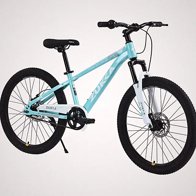 Mountain Bike 24 Inch MTB Age 9-12 Years