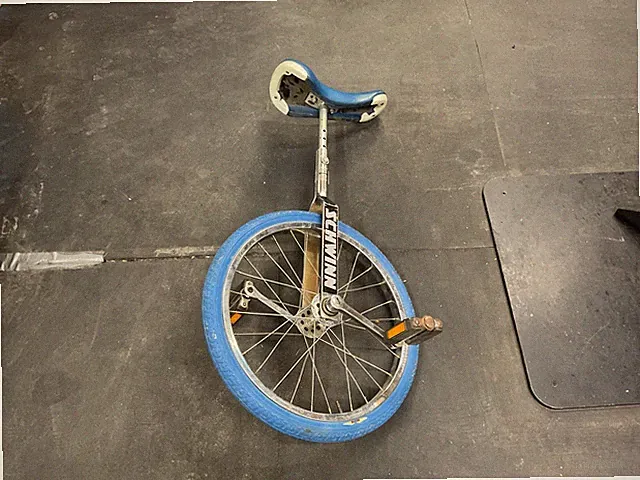 Schwinn Unicycle 20”
