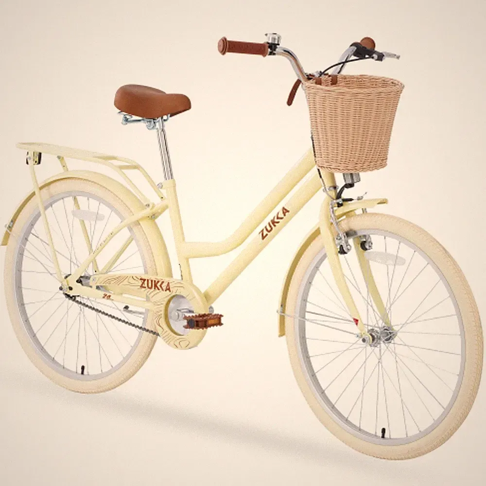 Steel Frame 24 Inch Wheel Multiple Colors Bike for 10+Years Old Girls bicycle