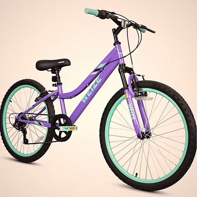 WEIZE 20 24 Inch Kids Mountain Bike,Kids Bike for Girls Age 6-14 Year Old