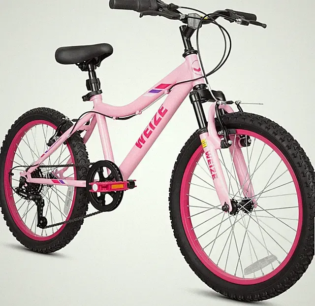 WEIZE 20 Inch Girls Mountain Bike, Adjustable Seat, 6 speed