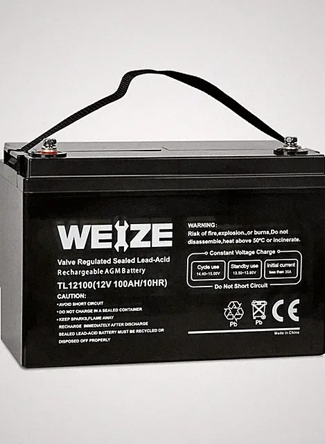 Weize Deep Cycle AGM 12 Volt 100Ah Battery, Maintenance-Free