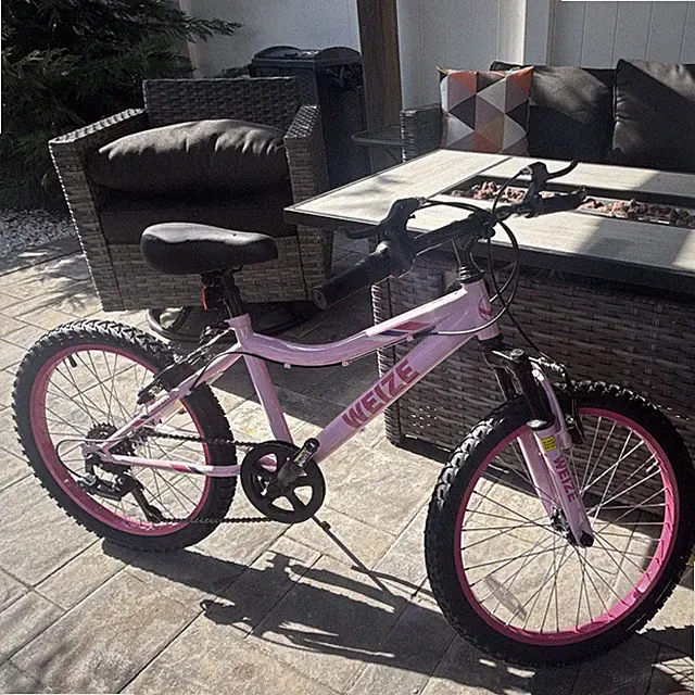 WEIZE Kids Bike 20 Inch Pink Knobby Tires