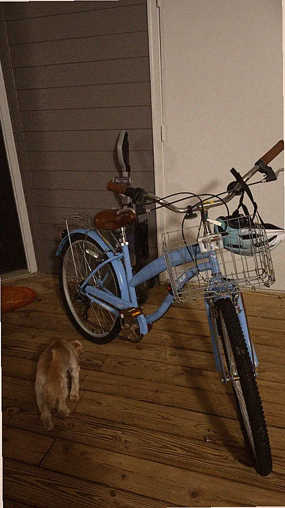 Weize Light Blue Cruiser Bike 26in Basket Rear Rack Brown Saddle